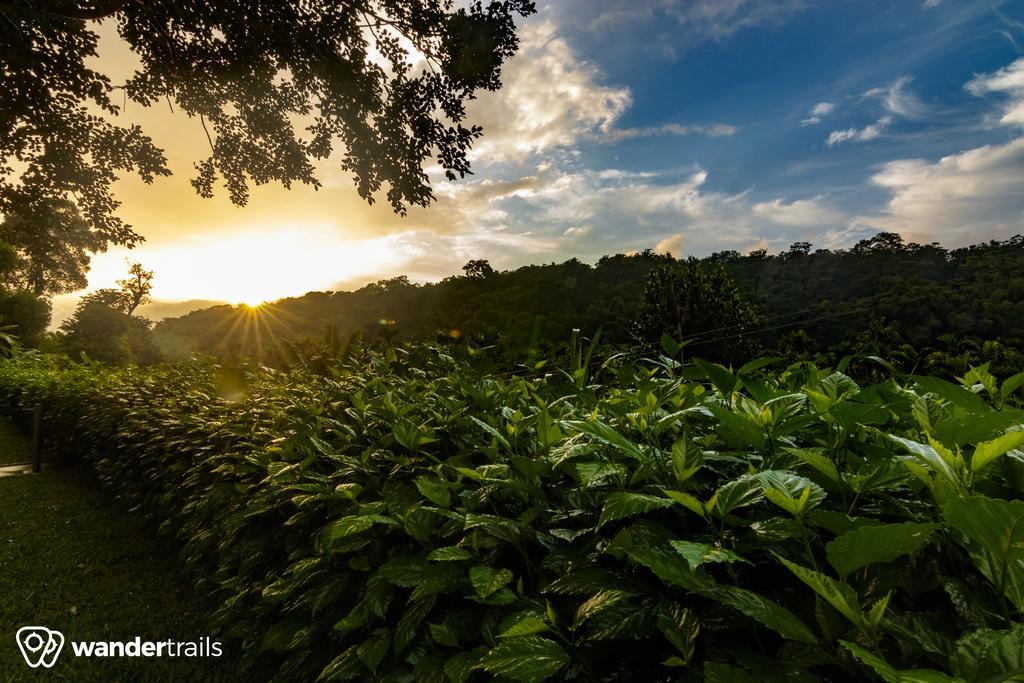 Whispering Willows Gudalur  Buitenkant foto